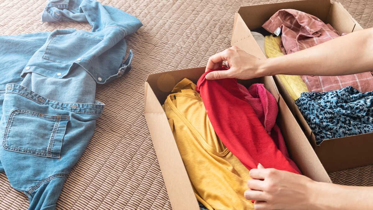 Comment acheter en lot et revendre individuellement (méthode simple et rentable)