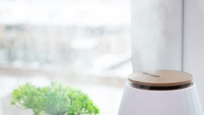 Air trop sec l’hiver : pourquoi vous chauffez trop (et comment résoudre le problème pour moins de 20 €)