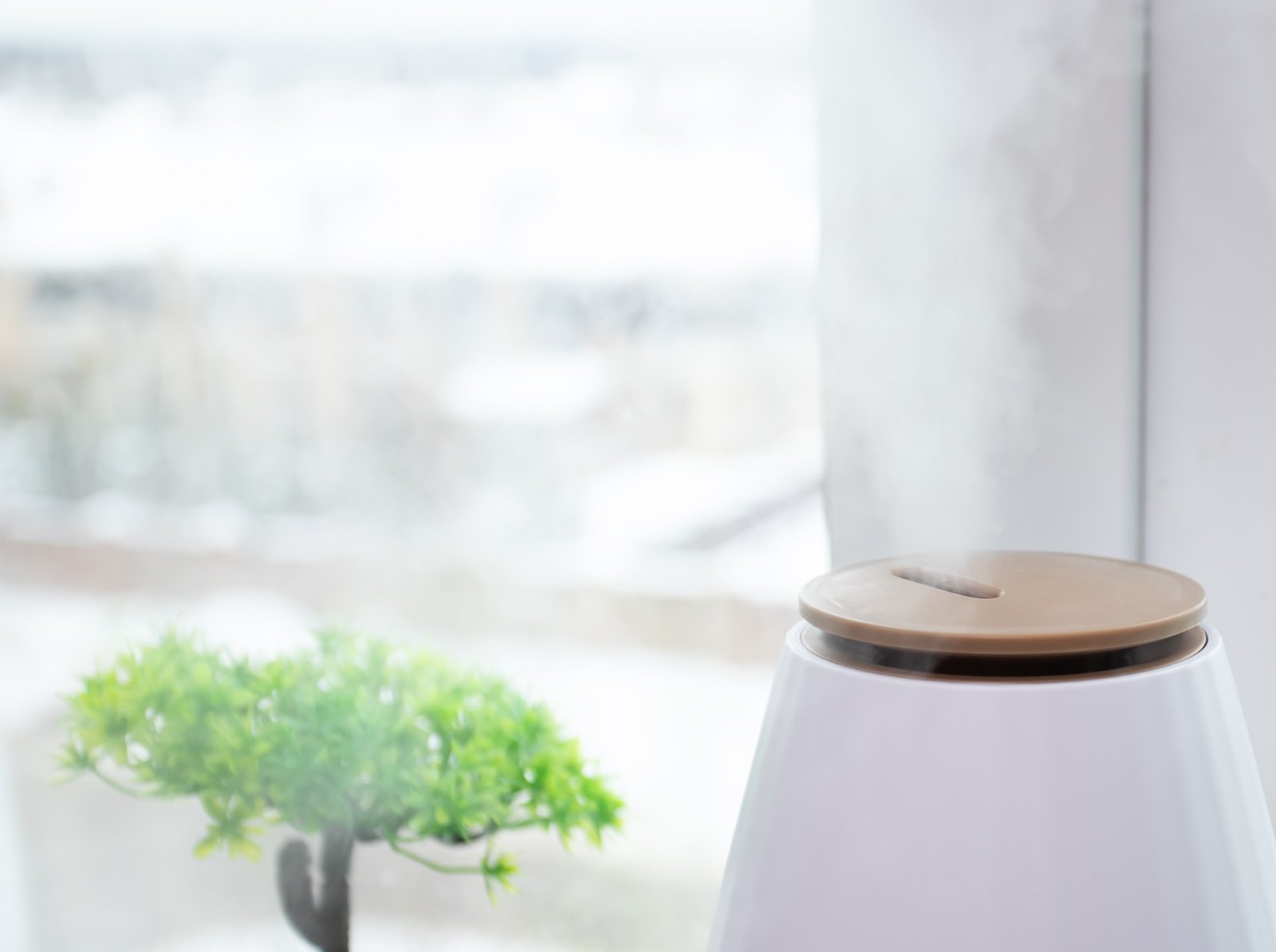 Air trop sec l’hiver : pourquoi vous chauffez trop (et comment résoudre le problème pour moins de 20 €)